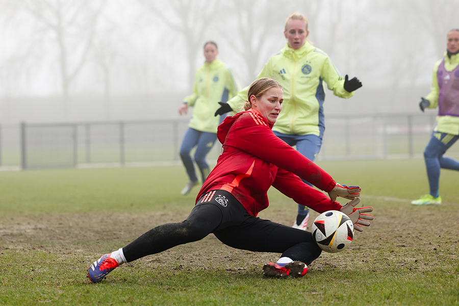 Vaneijktraining