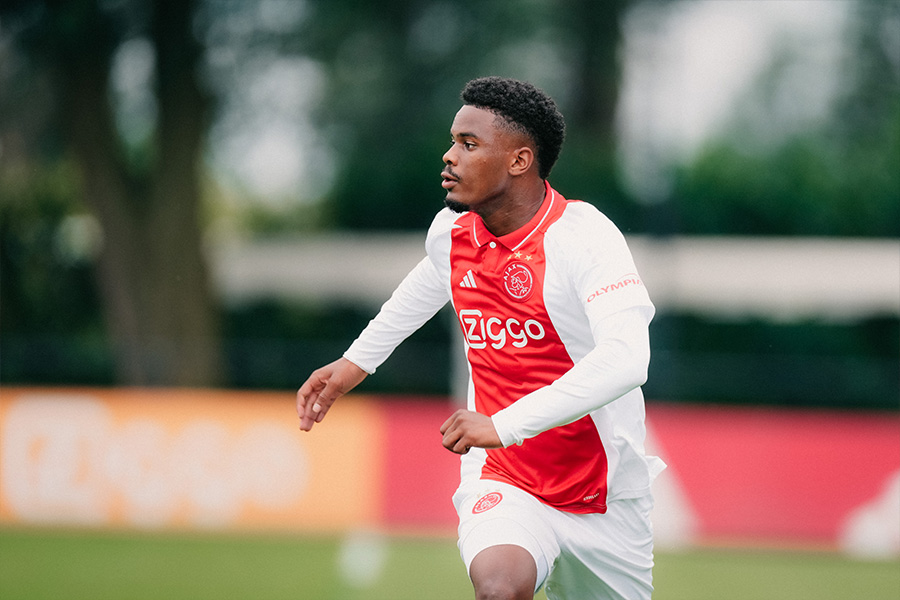 Hatozwolle2