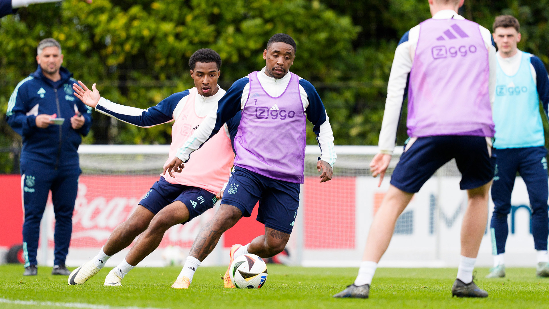 Bergwijn Vos Header