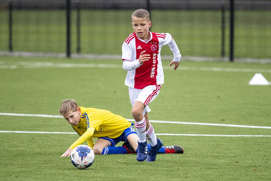Steur 2