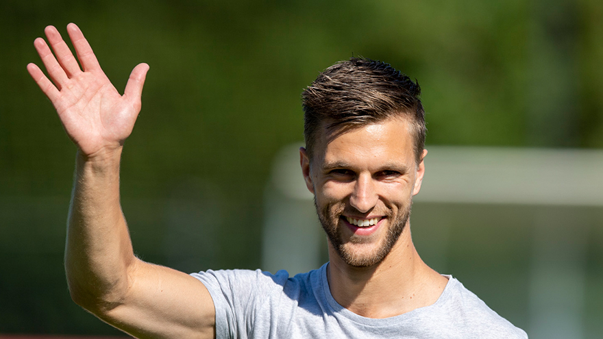 Veltman3