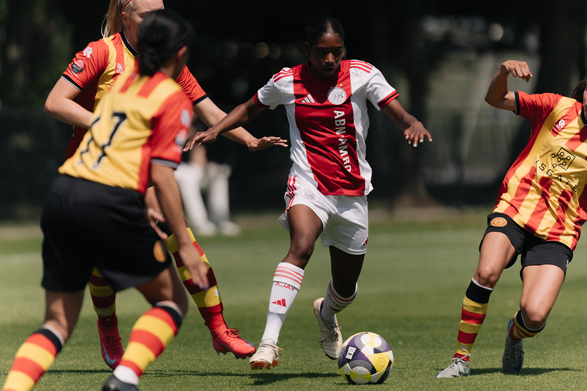 Ajaxterleede13
